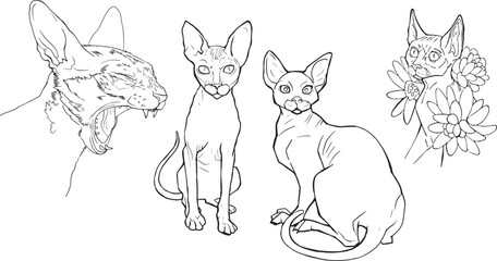 Set Line art cat detailed simple drawing cartoon realistic character coloring book pet product brutalism design illustration screaming yawning open mouth angry kitten back view linear contour outline