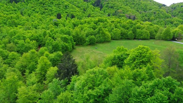 Aerial view of the Alpine mountain peaks on the border of Italy and Switzerland. The drone flies between green slopes and dramatic clouds. Trekking and tourism in the mountains. Green Paneth. Oxygen. 