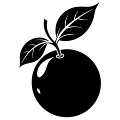 Stunning Silhouette of an Orange