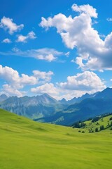 Obraz premium green meadow summer field blue sky