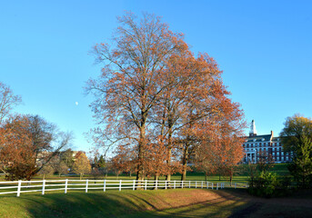 autumn trees in the park, roosevelt park, edison, New Jersey, USA