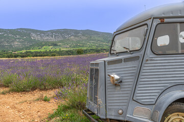 Champs de lavandes en Ardèche, Sud de la France.