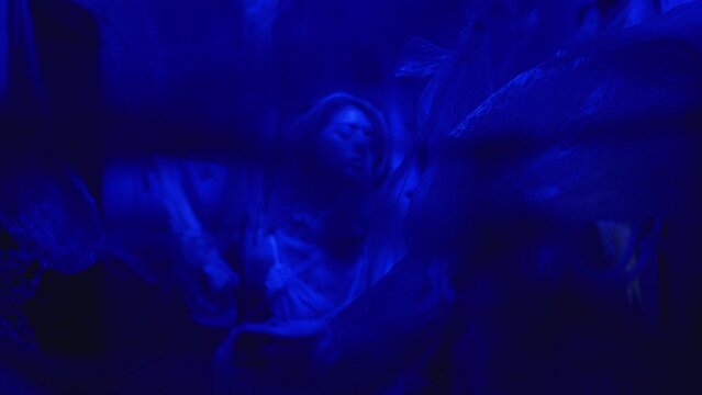 The camera moves along a creepy abandoned corridor, spiderwebs and old oilcloth hang from the ceiling, a silhouette of a vamp woman is visible.