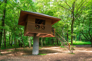 森の中のツリーハウス、休憩所、東屋