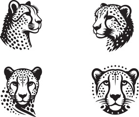 Grace in Motion The Life and Habits of Cheetahs