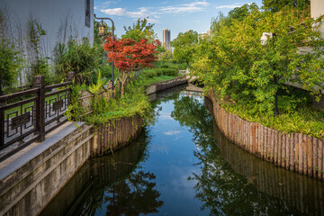 Fototapeta premium Tranquil Canal in Urban Garden Setting