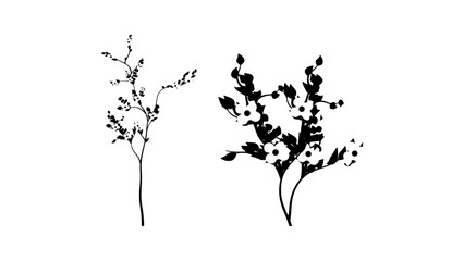 dogwood branch, black isolated silhouette