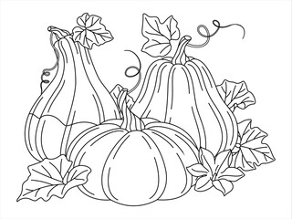 Pumpkins with vines and leaves coloring page. Fall floral arrangement with pumpkin, flower, and leaves. Hand drawn doodle style Isolated. line art Seasonal harvest Cucurbita plant. Vector illustration