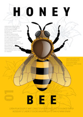Honey bee vintage flyer colorful