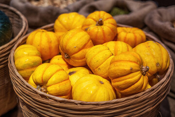 Small Yellow Squash in a Wicker Basket at a Farmer's Market