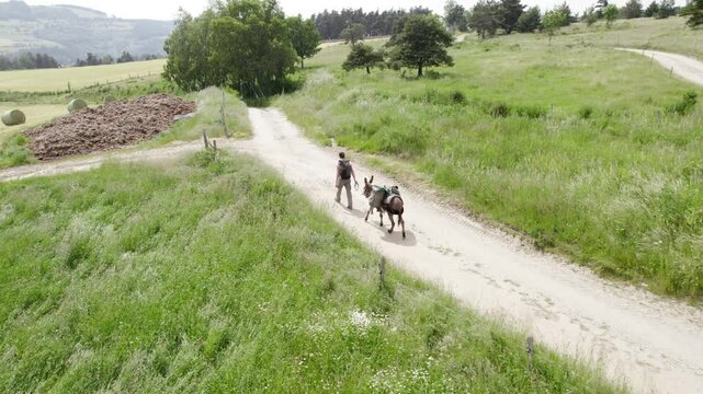 Man With Donkey Walking On Trail Through Countryside Fields