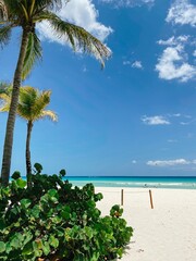 beautiful beach with white sand, turquoise water and palm trees, Mexico