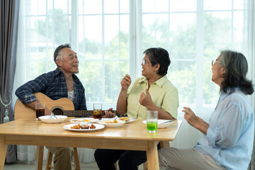 Three Senior friends bonding over music, singing and laughter in party