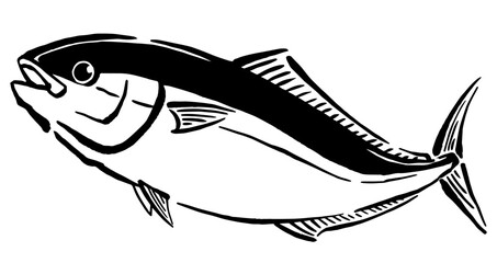 鰤の手書き線画イラスト