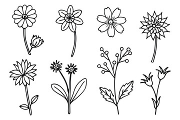 Wildflowers line art Delicate nature captured in sketches