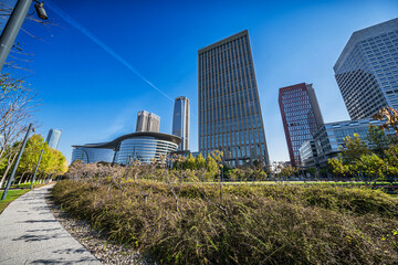 Modern Skyscrapers in Urban Park Setting