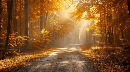 Obraz premium Golden leaves on a sunlit forest road, autumn colors, detailed trees, beautiful pathway, serene and enchanting scene