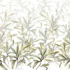 Olive branch, no fruit with green leaves Watercolor botanical floral seamless pattern. Hand drawn nature leaf illustration for food oil label paper, wallpaper, packaging, fabric on isolated background