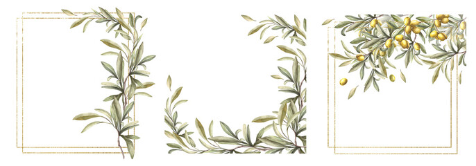 Olive tree branch card set. Watercolor twig with green leaves and fruit berries with gold frame. Botanical hand drawn illustration for food, oil, cosmetic label, wedding invitation Isolated background © Bartol_art
