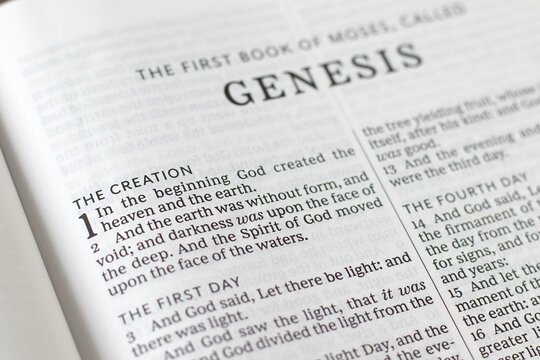 Open holy bible book of Genesis, the creation of God Jesus Christ verses. Close-up. Studying old testament Scriptures, biblical concept.