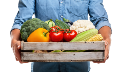 A man holds a wooden box with freshly picked harvested vegetables in an organic home garden. Close-up on the box. Isolated.