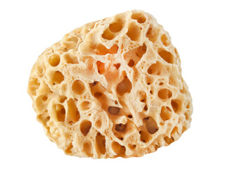 Naturschwamm und Hintergrund transparent PNG cut out  Natural Body Sea Sponge