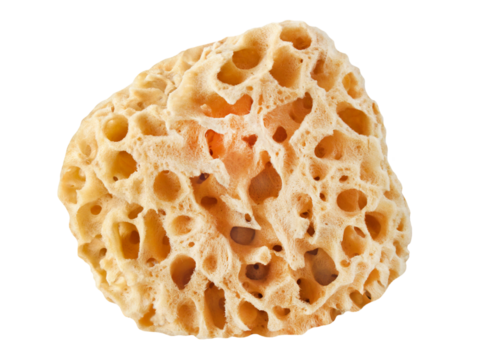 Naturschwamm und Hintergrund transparent PNG cut out  Natural Body Sea Sponge