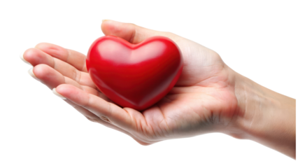 hand holding red heart isolated on transparent background