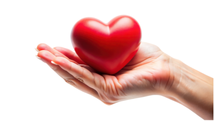 hand holding red heart isolated on transparent background