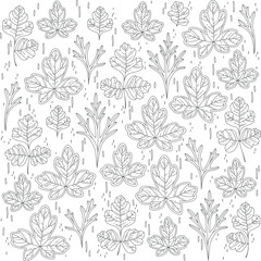 Greenery set of botanical hand-drawn outline illustration, flat leaf top view, decorative foliage in bohemian rustic simple coloring book style