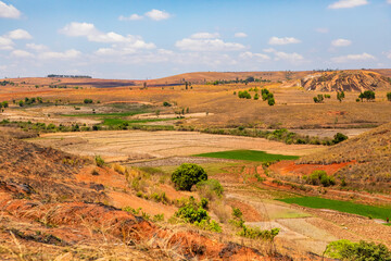 Obraz premium Typical Madagascar landscape rice terrace fields