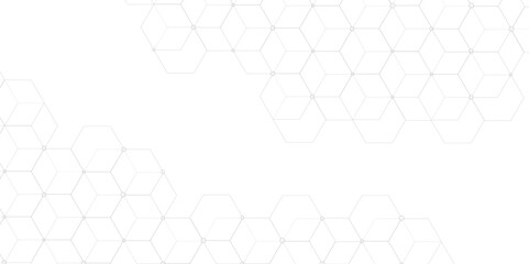 Hexagon geometric on a white background. Geometric abstract background with simple Hexagon elements. clean and modern science chemical theme background. hexagon geometric pattern vector illustration. 