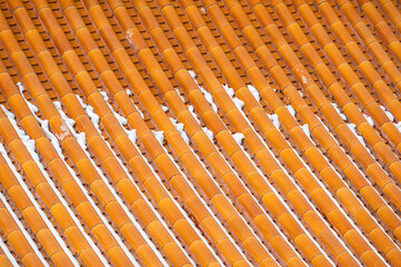 Winter snow on the golden glazed tiles of the Forbidden City in Beijing.