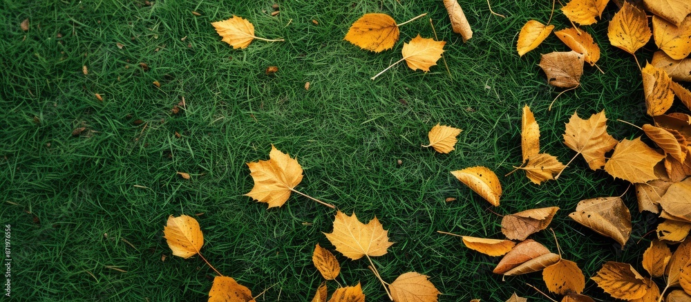 Poster a scenic view from above showing yellowed leaves on a green background, providing space for your cop