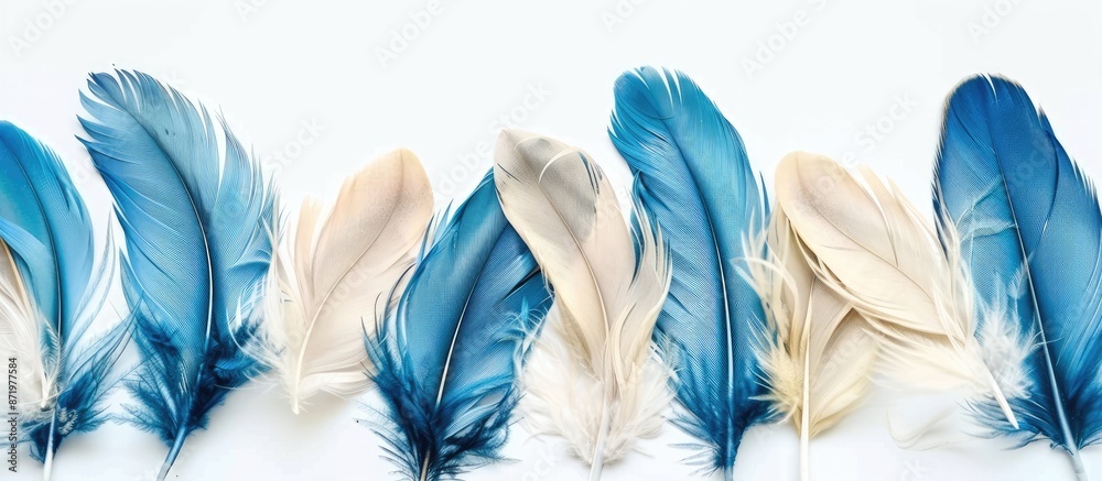 Aufkleber blue and beige feathers isolated on white backdrop with room for copy space image.