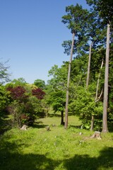 春の源氏山公園　鎌倉市