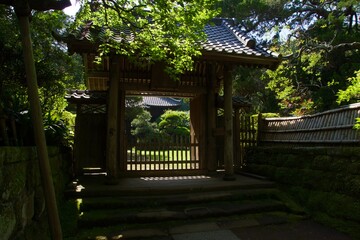 春の源氏山公園　鎌倉市