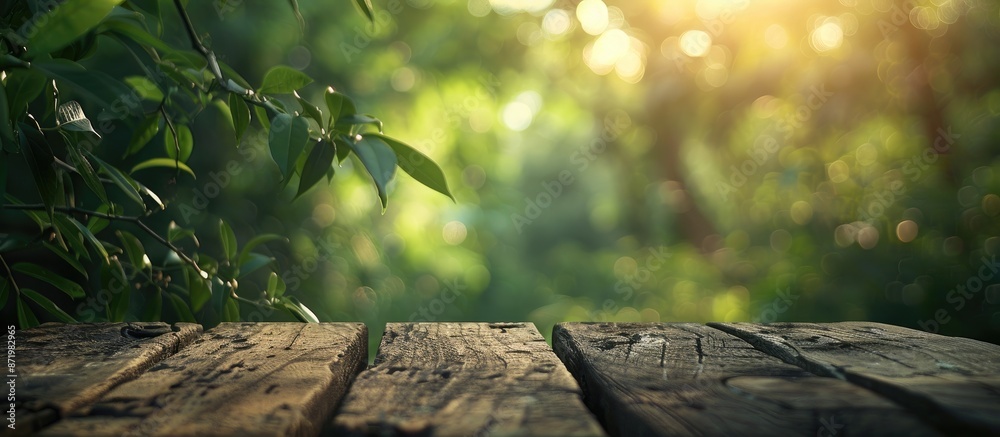 Aufkleber Blurry nature background with a tabletop, ideal for copy space image.