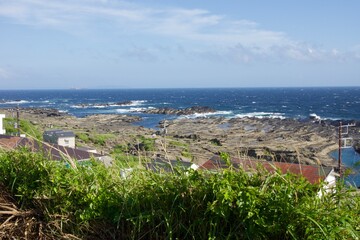 Obraz premium 城ヶ島 城ヶ島公園の春の風景