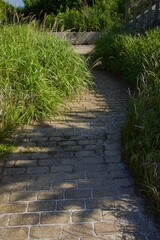 城ヶ島　城ヶ島公園の春の風景