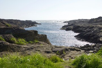 城ヶ島　城ヶ島公園の春の風景