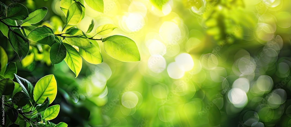 Aufkleber vivid green tree leaves set against a bokeh background offer copy space image with lush foliage illu