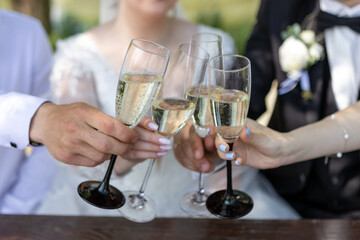 The newlyweds and their friends toast with champagne.