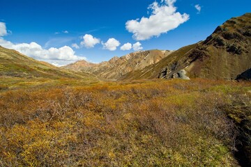 Sunny day in Denali national park with mountains views