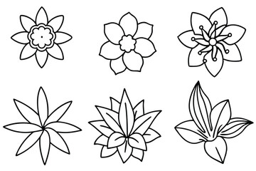 Obraz premium Floral Line Art Botanical pen art showcases flowers