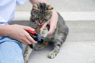 A woman cuts a cat's claws with a claw cutter.