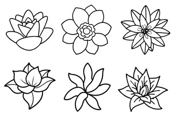 Floral Line Art Detailed floral outlines in simplicity