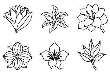 Floral Line Art Elegant flower sketches highlight artistry