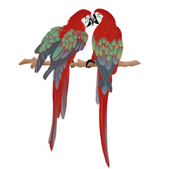 Arara vermelha, arara, ave, pássaro, amor, namorados, amizade, Amazônia, tropical, ilustração, fauna, floresta, brasil, estampa, embalagem, rótulo, natureza, pena, asas, carnaval, rio de janeiro © Débora Floriano
