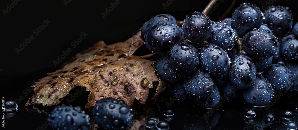 Aufkleber A black background highlights wet dark blue grapes with a dried leaf, leaving room for additional content in the image.